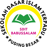 sditbaabussalam.com